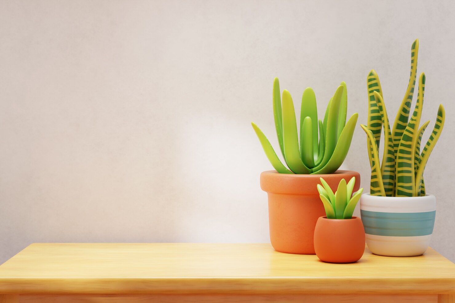 Decorative Cache Pots